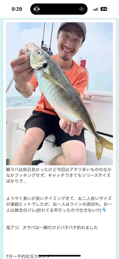 アジの釣果