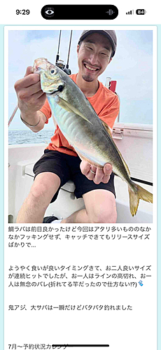 アジの釣果