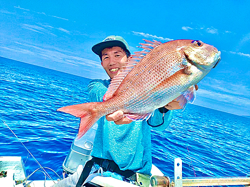 マダイの釣果