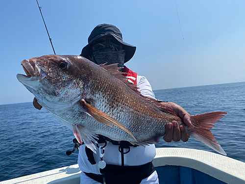 タイの釣果