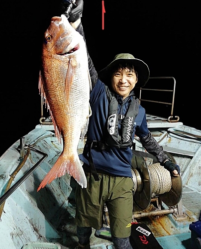 マダイの釣果