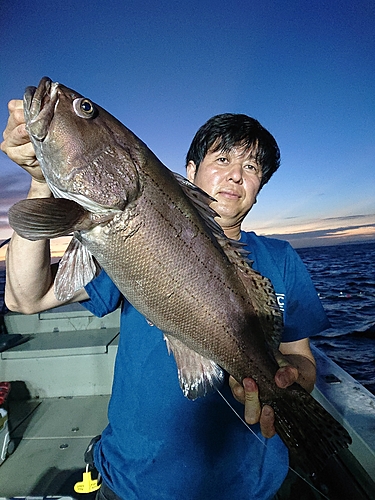 オオスジハタの釣果