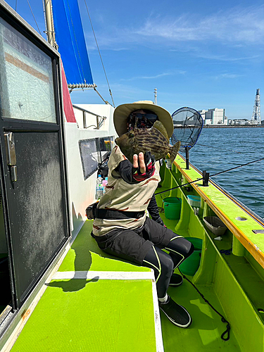 カワハギの釣果