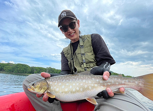 アメマスの釣果