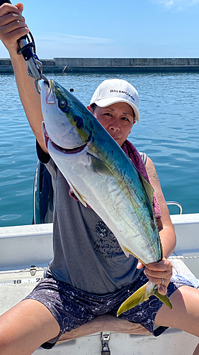 ワラサの釣果