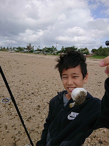 オキナワフグの釣果