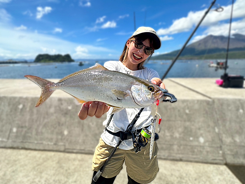 ショゴの釣果