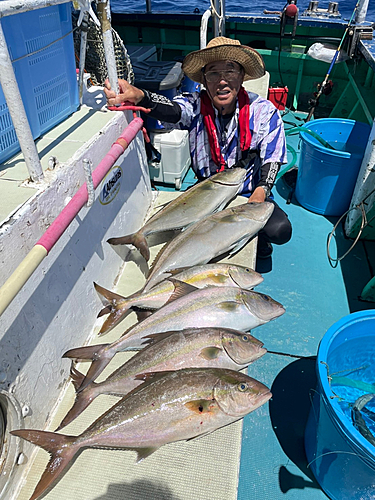 カンパチの釣果