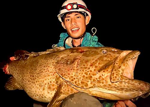 チャイロマルハタの釣果