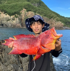 バラハタの釣果