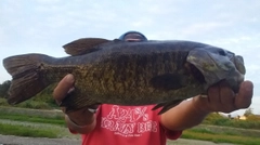 スモールマウスバスの釣果