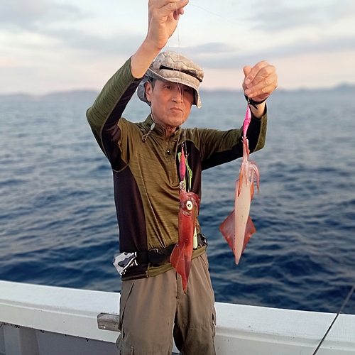 シロイカの釣果