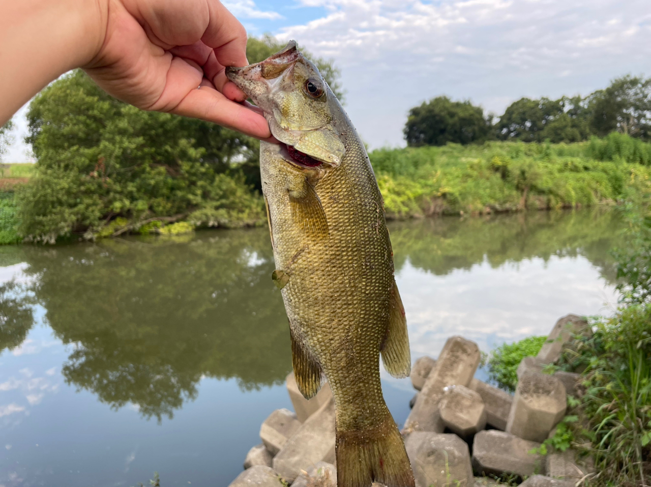 スモールマウスバス