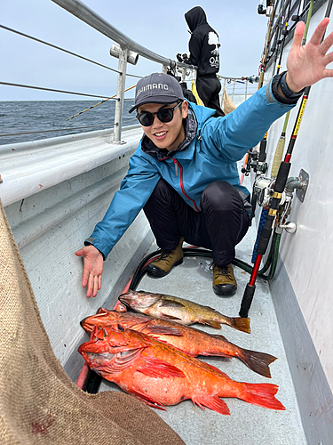 メバルの釣果