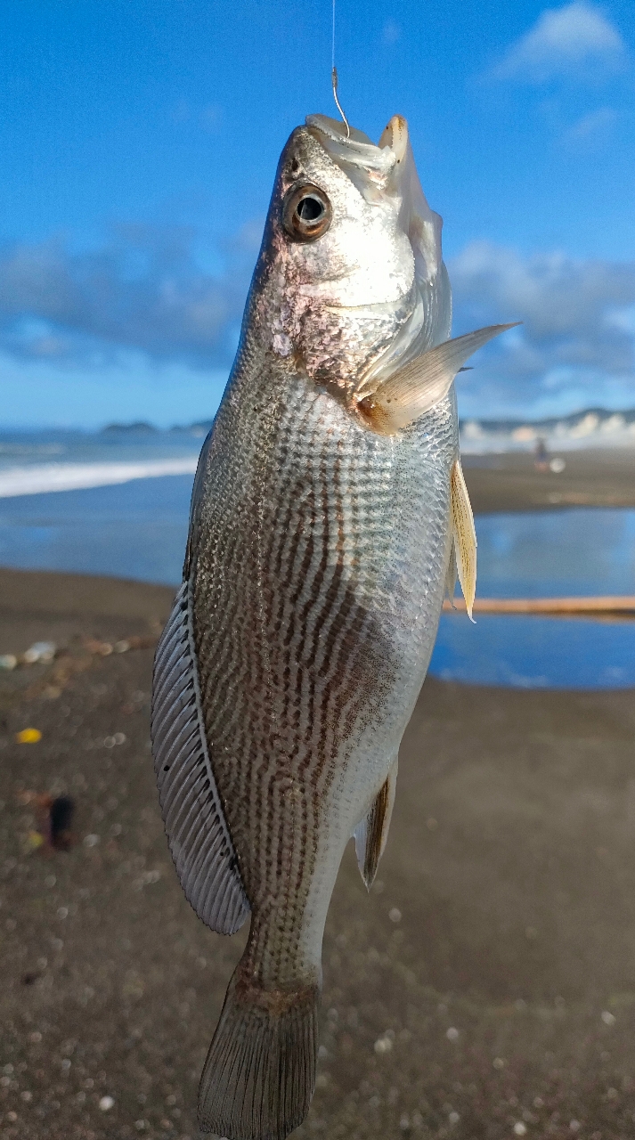 イシモチ