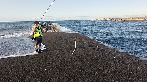 ダツの釣果