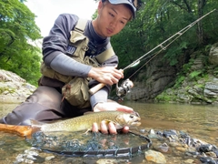 イワナの釣果