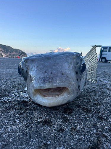 釣果