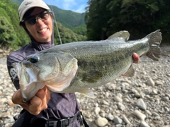ブラックバスの釣果