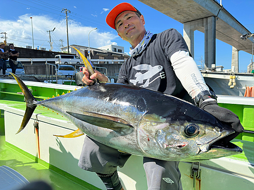 キハダマグロの釣果