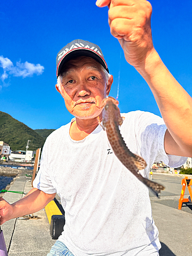 オオモンハタの釣果