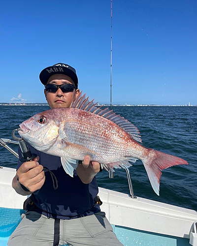 マダイの釣果