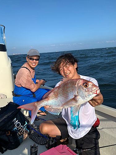 マダイの釣果