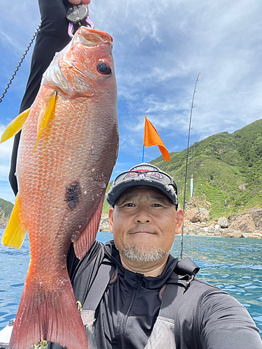 クロホシフエダイの釣果