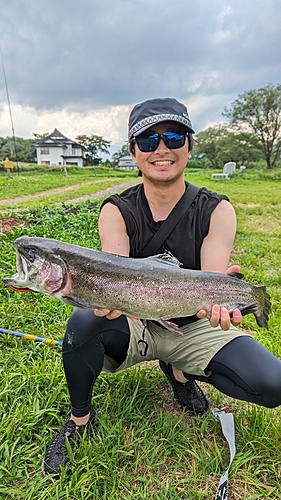 ニジマスの釣果