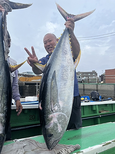 キハダマグロの釣果