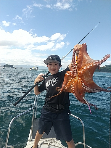 マダコの釣果