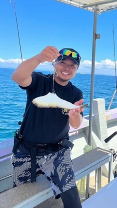 ショウサイフグの釣果