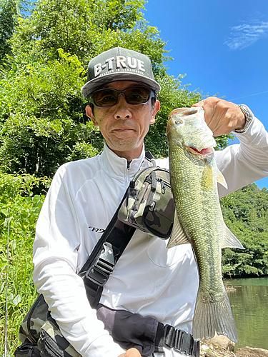 ブラックバスの釣果