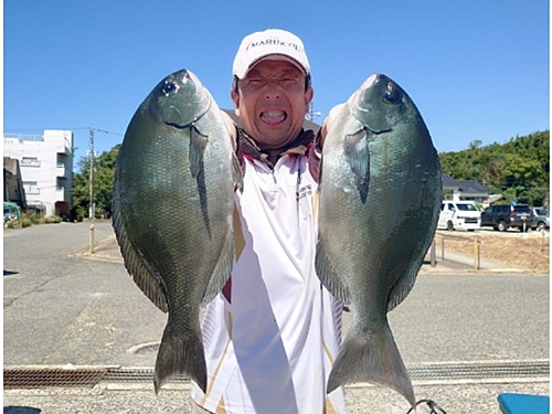 オナガグレの釣果