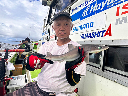 フトツノザメの釣果