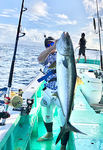 ヒラマサの釣果