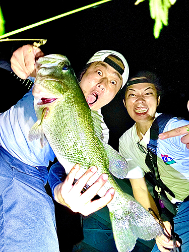 ブラックバスの釣果