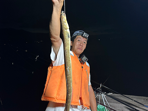 ホタテウミヘビの釣果