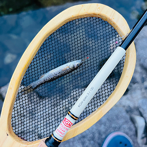 タカハヤの釣果