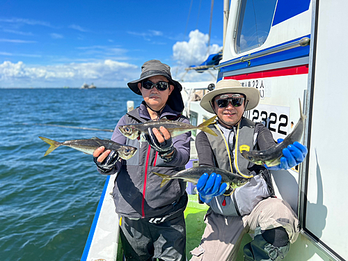 マアジの釣果