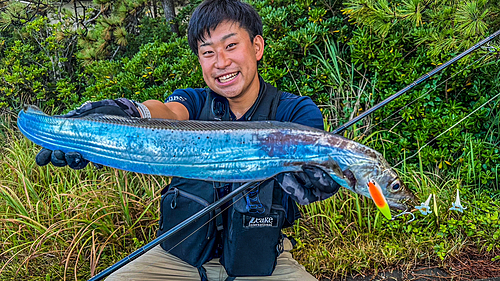 タチウオの釣果