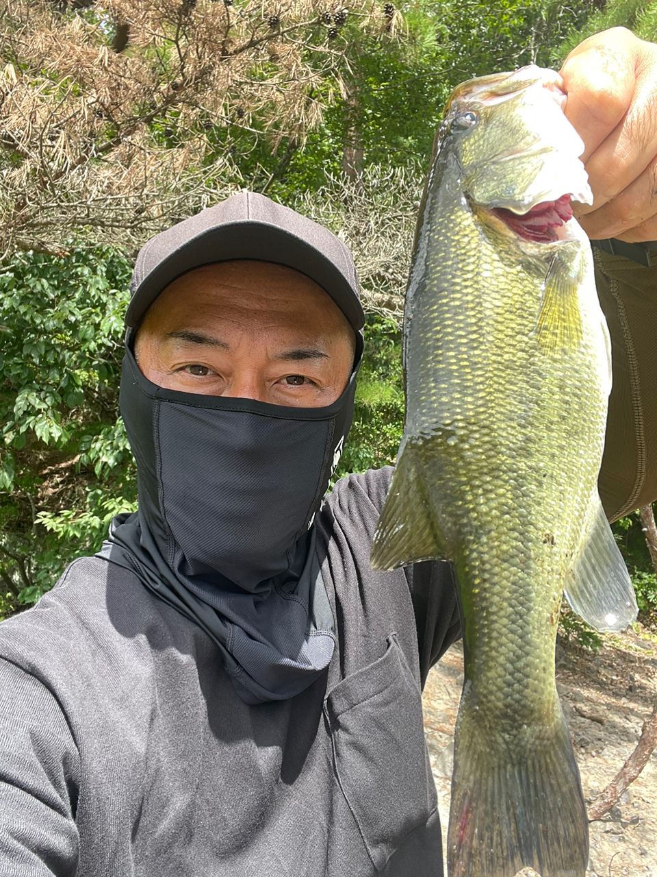 ブラックバス