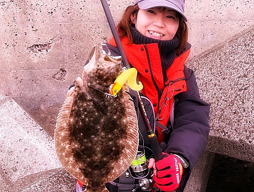 ヒラメの釣果