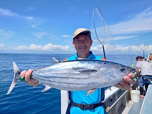 カツオの釣果