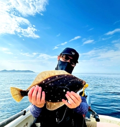 カレイの釣果