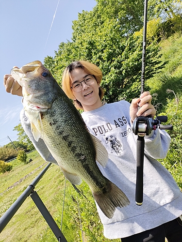 ブラックバスの釣果