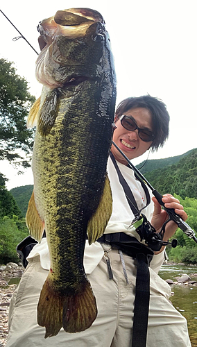 ブラックバスの釣果