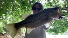 ブラックバスの釣果