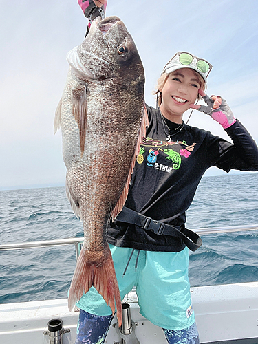 マダイの釣果