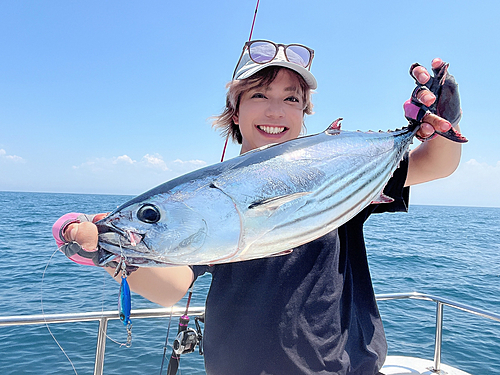 カツオの釣果